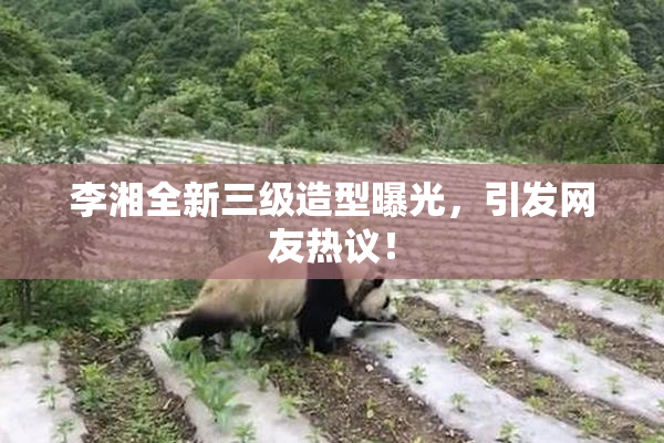 李湘全新三级造型曝光，引发网友热议！