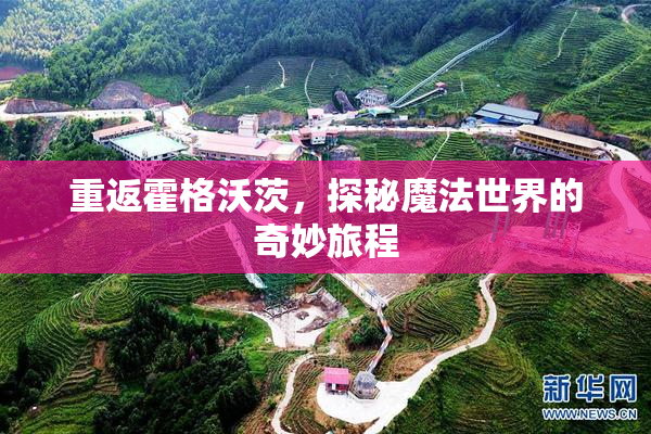 重返霍格沃茨，探秘魔法世界的奇妙旅程