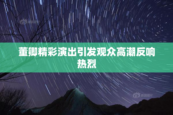董卿精彩演出引发观众高潮反响热烈