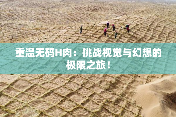 重温无码H肉：挑战视觉与幻想的极限之旅！