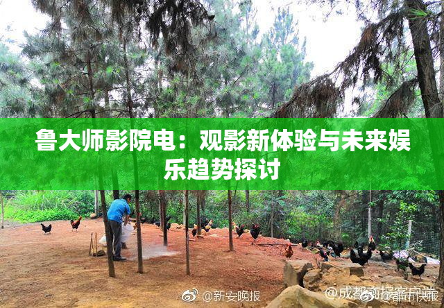 鲁大师影院电：观影新体验与未来娱乐趋势探讨