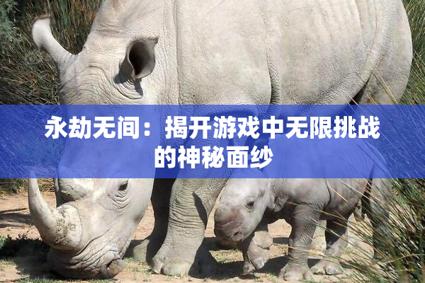 永劫无间：揭开游戏中无限挑战的神秘面纱
