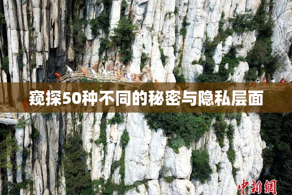 窥探50种不同的秘密与隐私层面