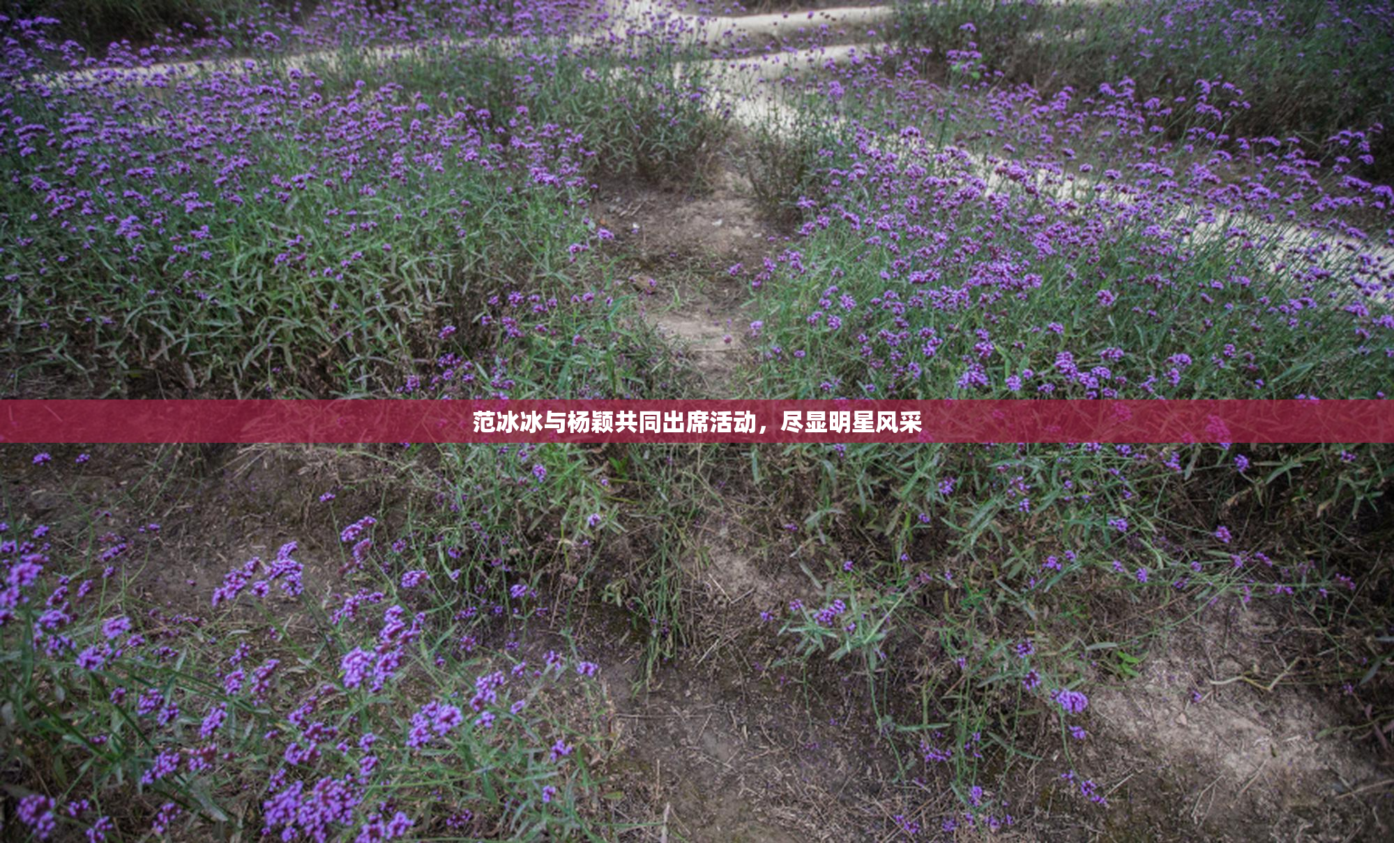 范冰冰与杨颖共同出席活动，尽显明星风采