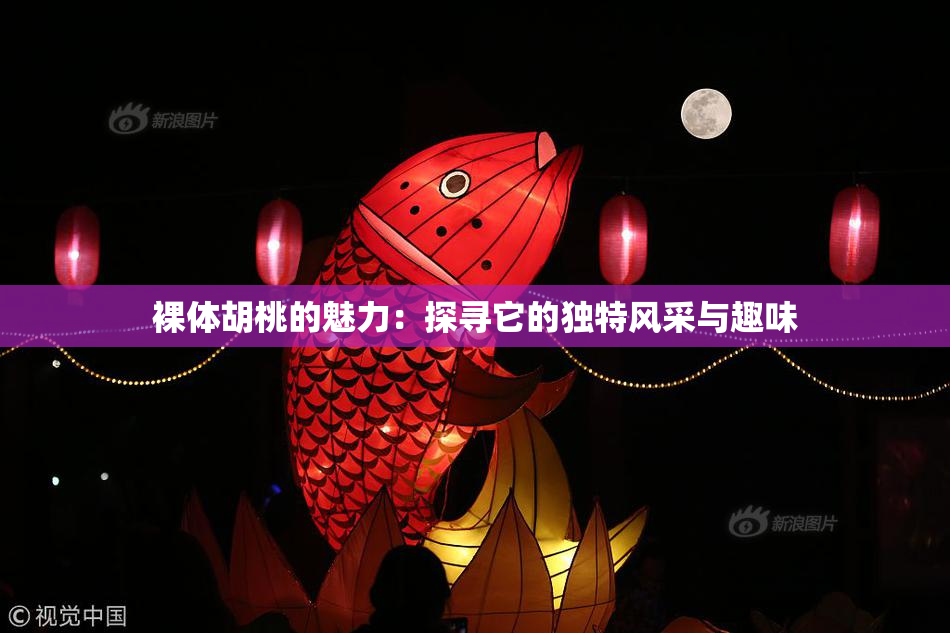 裸体胡桃的魅力：探寻它的独特风采与趣味