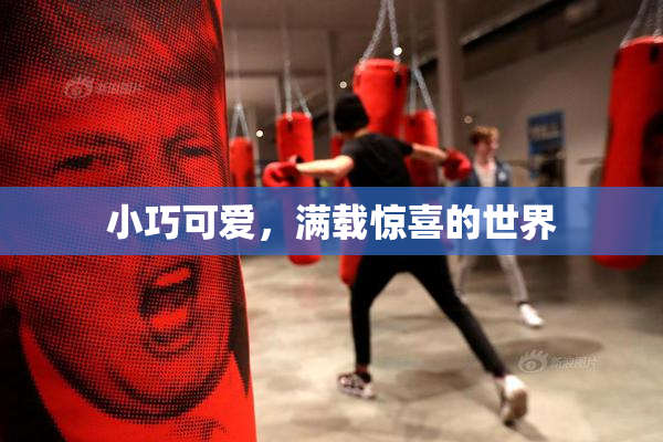 小巧可爱，满载惊喜的世界