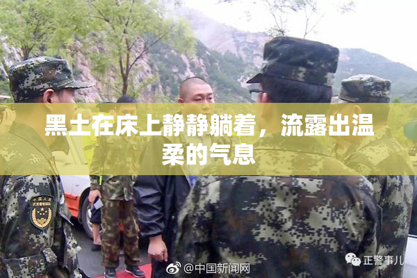 黑土在床上静静躺着，流露出温柔的气息