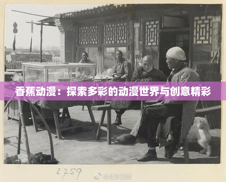 香蕉动漫：探索多彩的动漫世界与创意精彩
