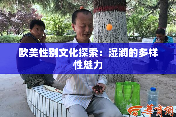 欧美性别文化探索：湿润的多样性魅力