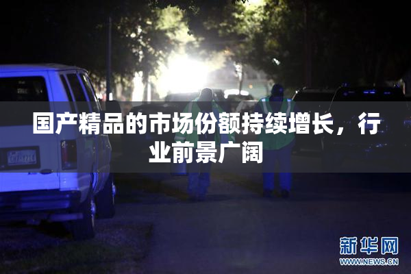 国产精品的市场份额持续增长，行业前景广阔
