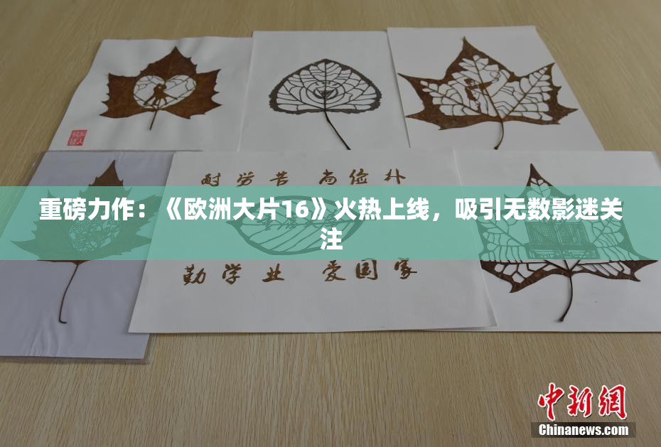 重磅力作：《欧洲大片16》火热上线，吸引无数影迷关注