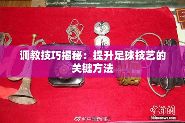 调教技巧揭秘：提升足球技艺的关键方法