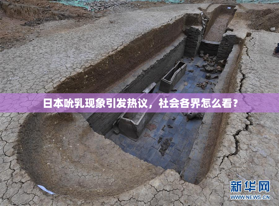 日本吮乳现象引发热议，社会各界怎么看？