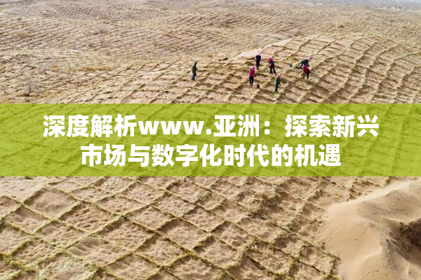 深度解析www.亚洲：探索新兴市场与数字化时代的机遇