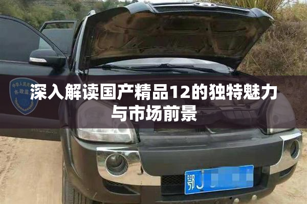 深入解读国产精品12的独特魅力与市场前景