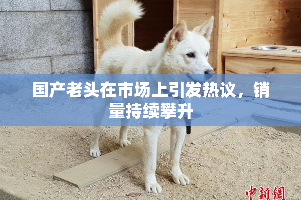 国产老头在市场上引发热议，销量持续攀升
