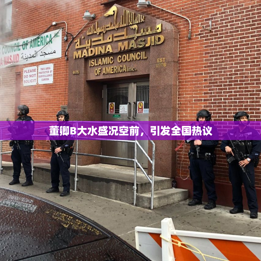 董卿B大水盛况空前，引发全国热议