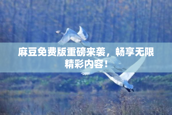 麻豆免费版重磅来袭，畅享无限精彩内容！
