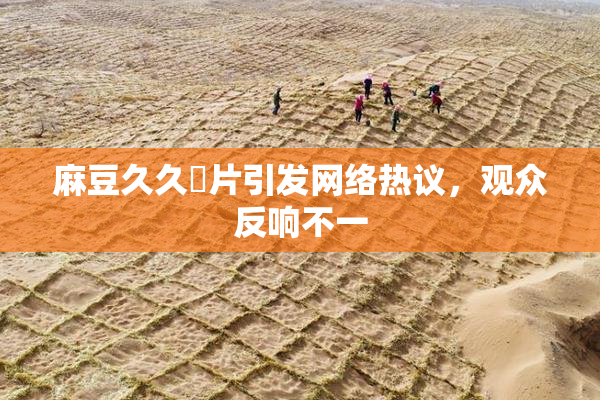 麻豆久久婬片引发网络热议，观众反响不一