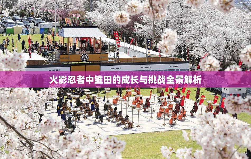 火影忍者中雏田的成长与挑战全景解析