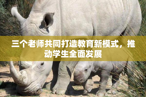 三个老师共同打造教育新模式，推动学生全面发展