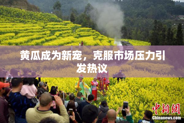 黄瓜成为新宠，克服市场压力引发热议