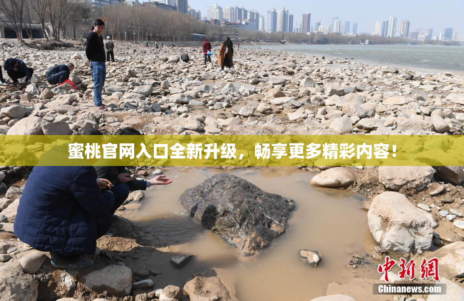 蜜桃官网入口全新升级，畅享更多精彩内容！