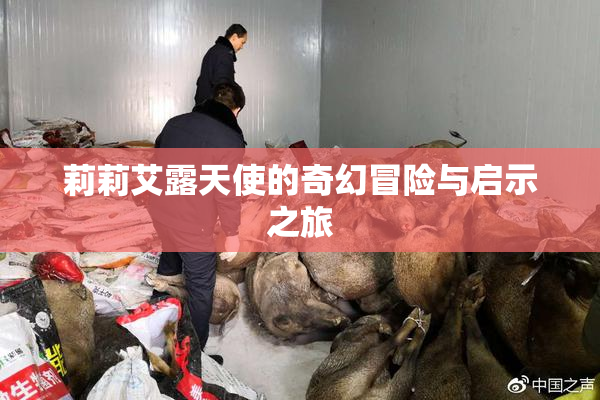 莉莉艾露天使的奇幻冒险与启示之旅