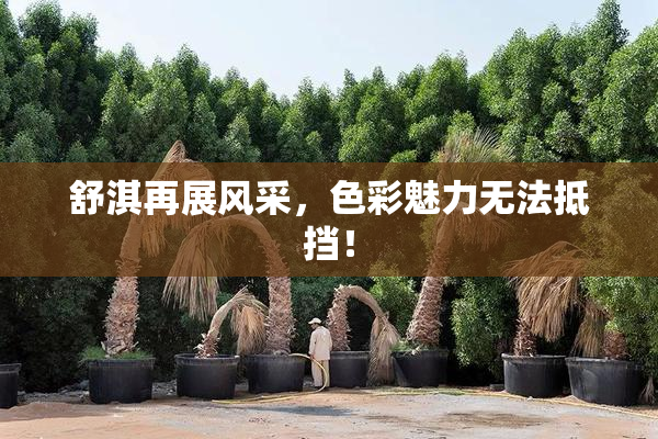 舒淇再展风采，色彩魅力无法抵挡！