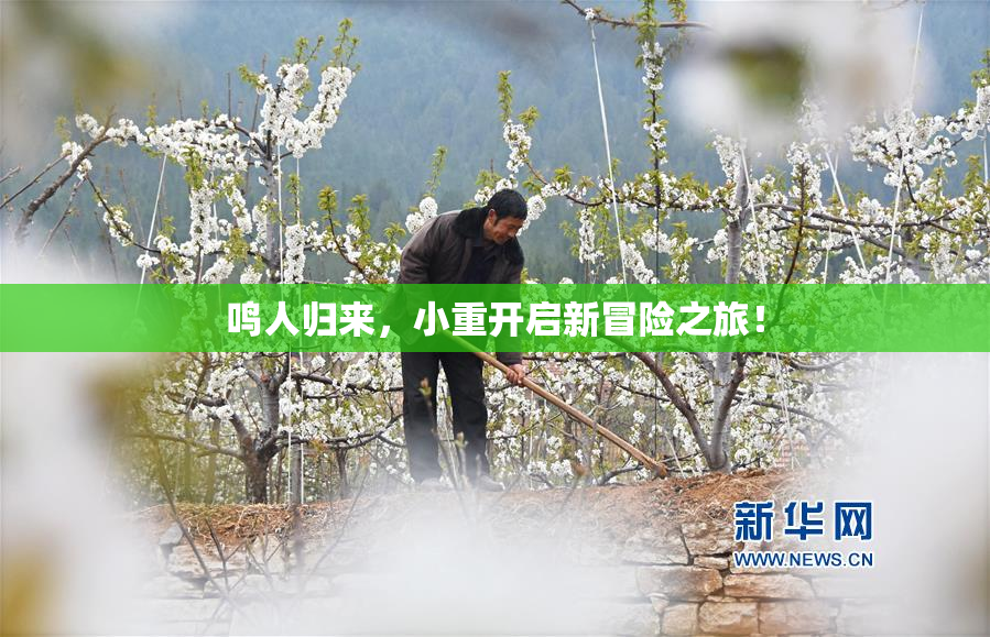 鸣人归来，小重开启新冒险之旅！