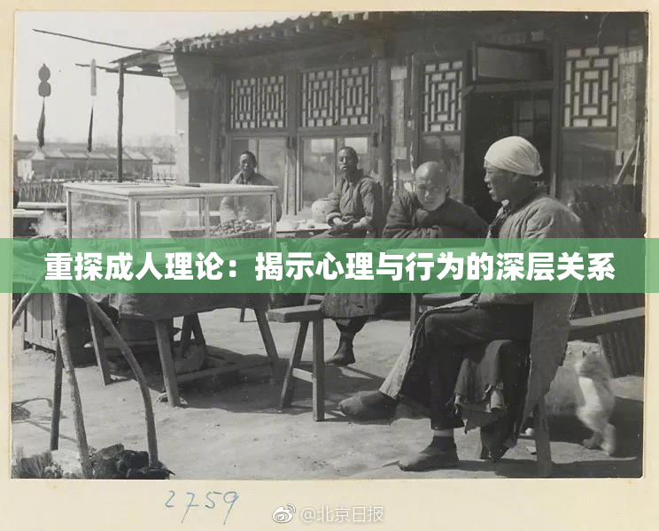 重探成人理论：揭示心理与行为的深层关系