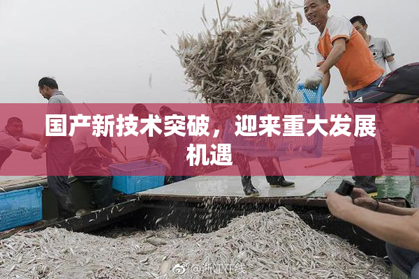 国产新技术突破，迎来重大发展机遇