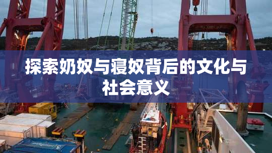 探索奶奴与寝奴背后的文化与社会意义