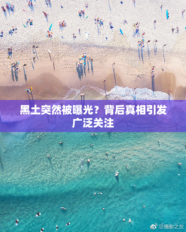 黑土突然被曝光？背后真相引发广泛关注