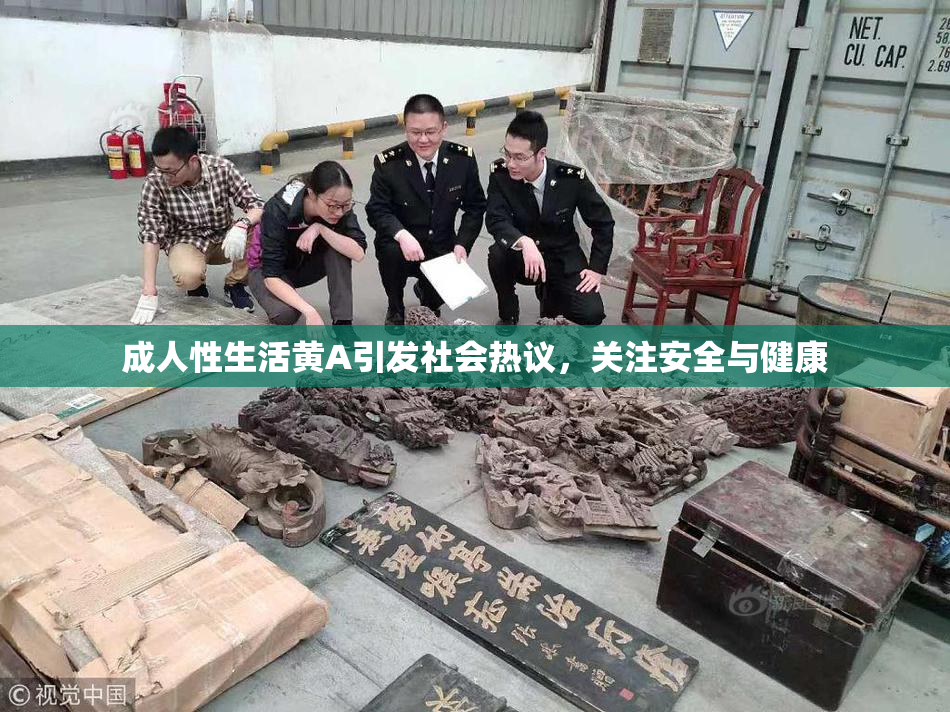 成人性生活黄A引发社会热议，关注安全与健康