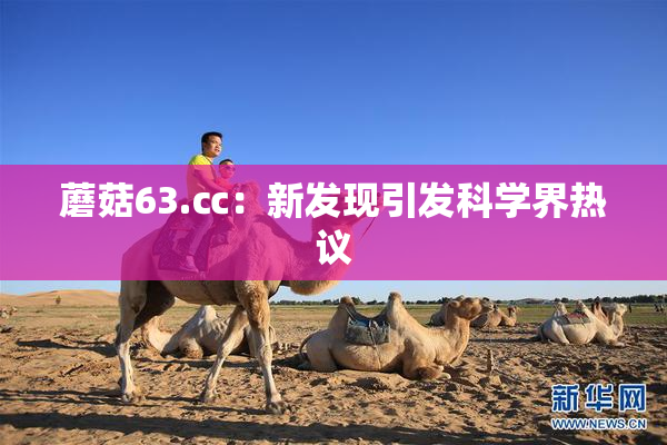 蘑菇63.㏄：新发现引发科学界热议