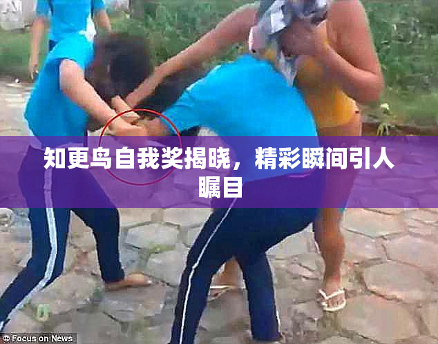 知更鸟自我奖揭晓，精彩瞬间引人瞩目