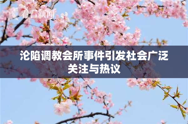 沦陷调教会所事件引发社会广泛关注与热议