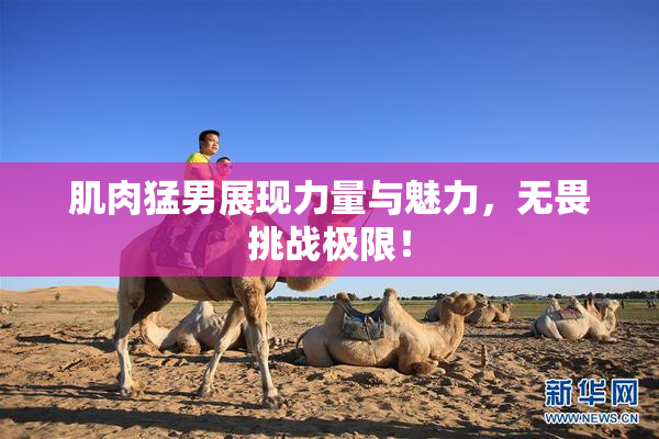 肌肉猛男展现力量与魅力，无畏挑战极限！
