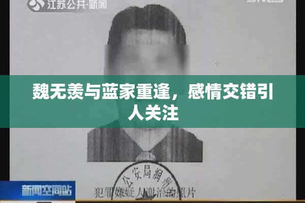 魏无羡与蓝家重逢，感情交错引人关注