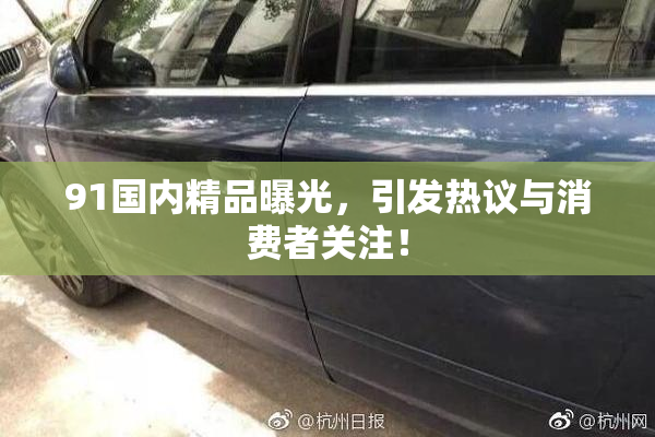 91国内精品曝光，引发热议与消费者关注！