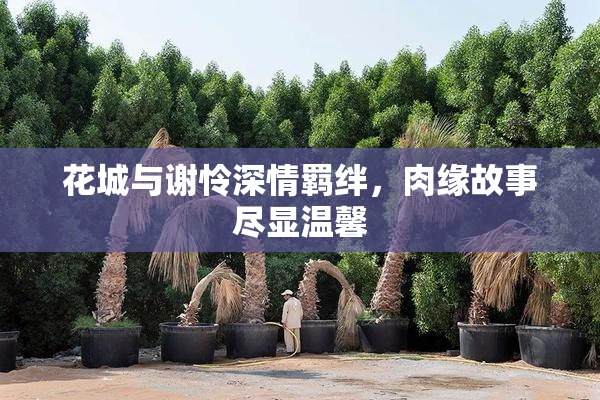 花城与谢怜深情羁绊，肉缘故事尽显温馨