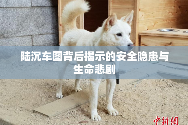 陆沉车图背后揭示的安全隐患与生命悲剧