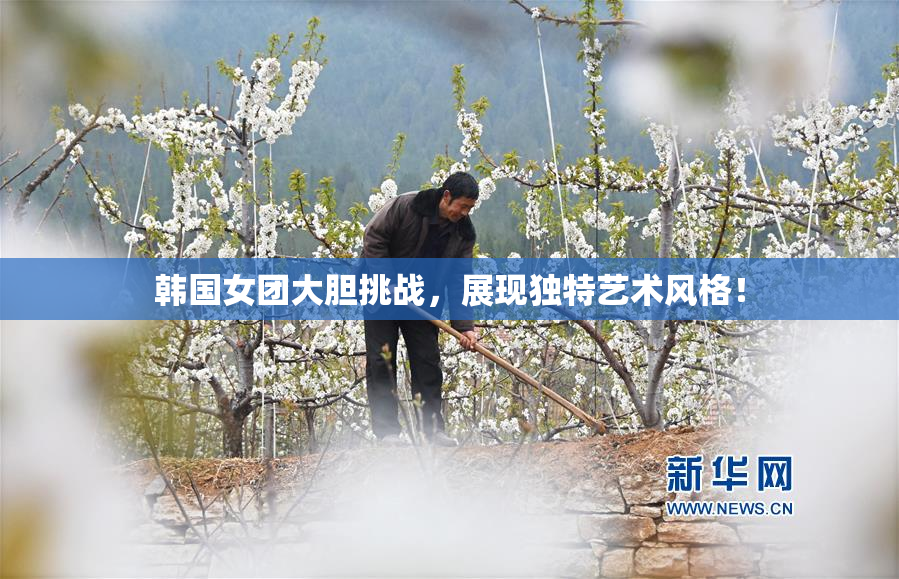 韩国女团大胆挑战，展现独特艺术风格！
