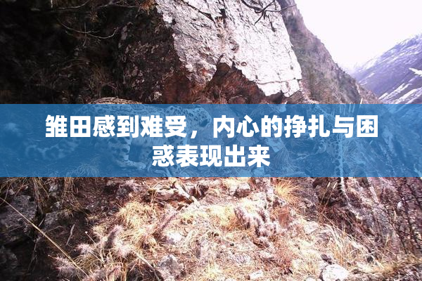 雏田感到难受，内心的挣扎与困惑表现出来