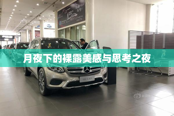 月夜下的裸露美感与思考之夜