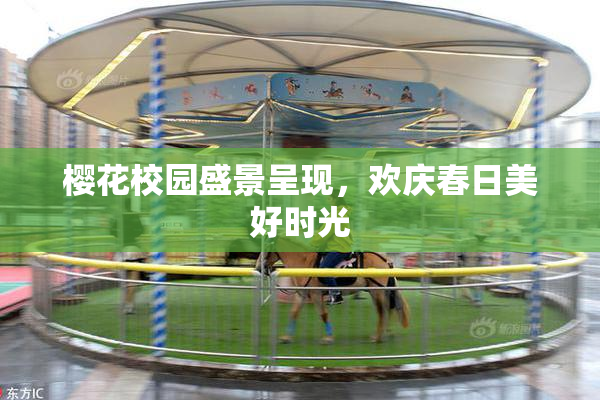 樱花校园盛景呈现，欢庆春日美好时光