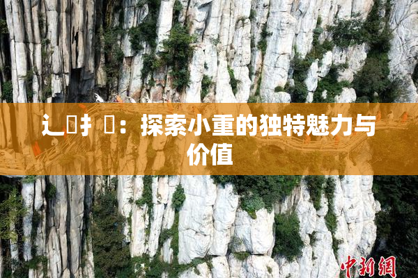辶喿扌畐：探索小重的独特魅力与价值