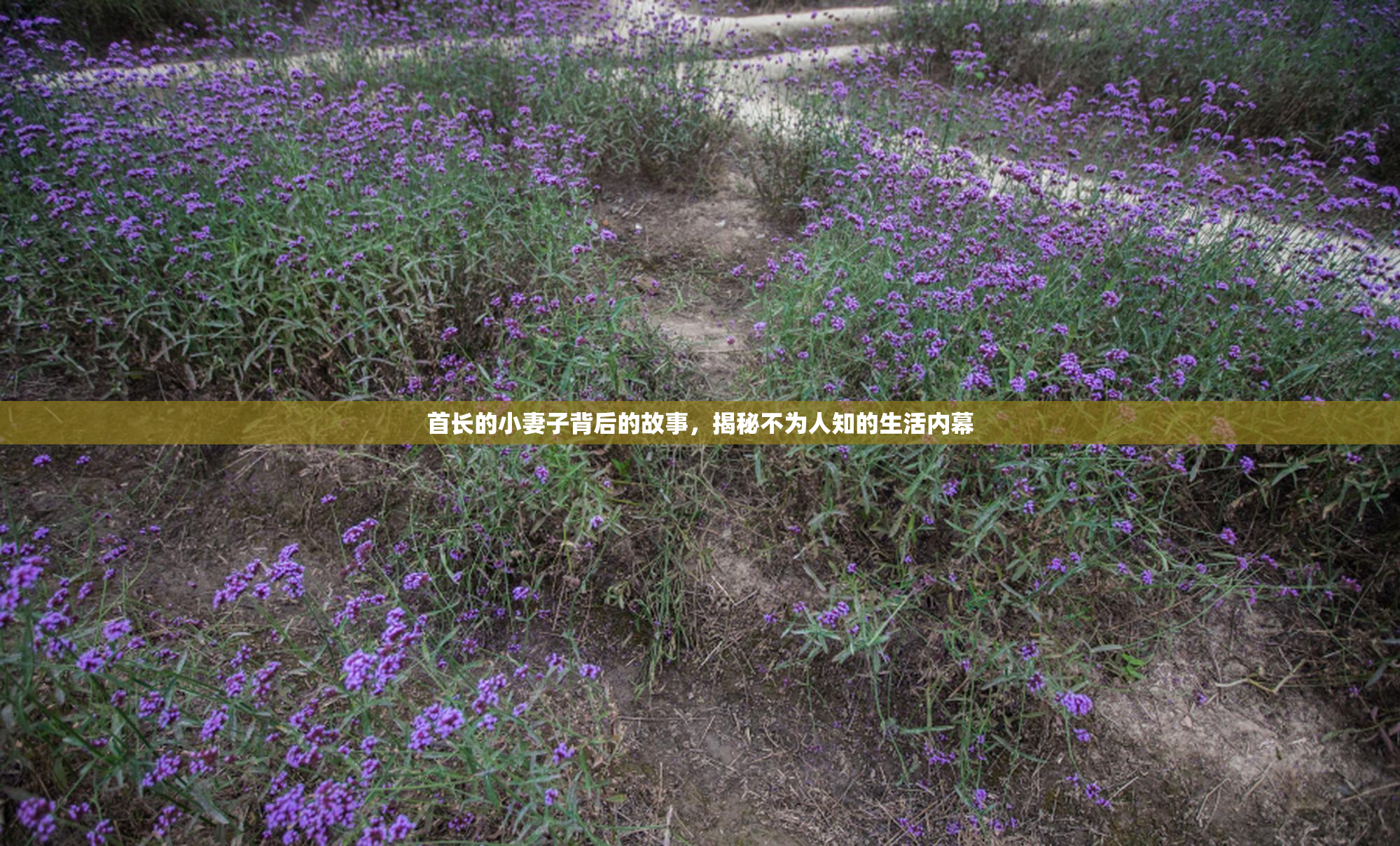 首长的小妻子背后的故事，揭秘不为人知的生活内幕