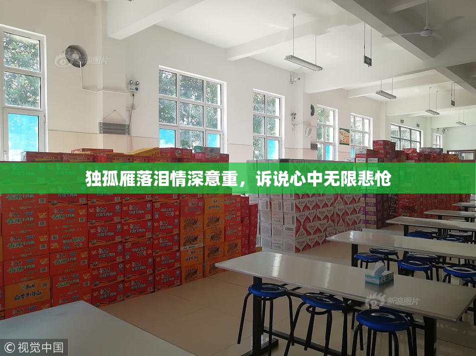 独孤雁落泪情深意重，诉说心中无限悲怆